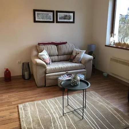 Stunning 1 Bedroom Apartment Park View Bansko Apartment *